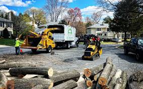 Best Emergency Tree Removal  in Harmony Grove, CA